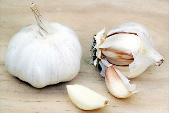 Garlic is an herb that has been used both as a food and medicine for many centuries in Tamilnadu.